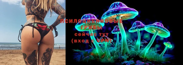 СК Бронницы