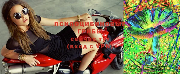 СК Бронницы