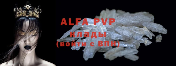 прущие грибы Бородино