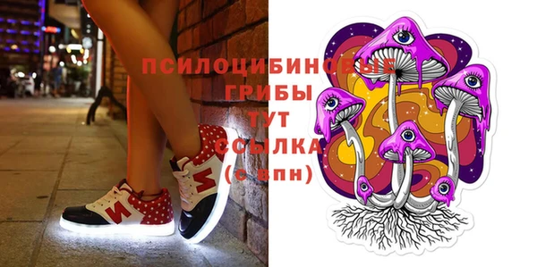 гашиш Богданович
