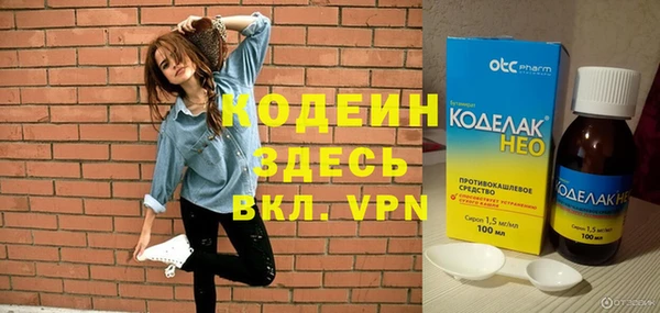 прущие грибы Бородино