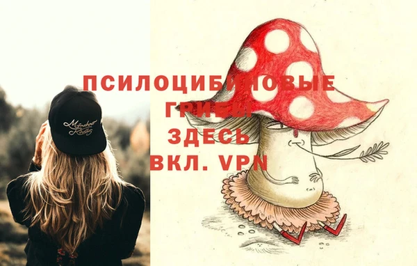 прущие грибы Бородино