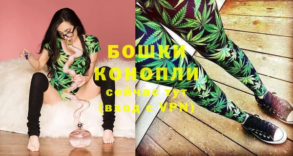 СК Бронницы