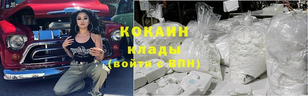 гашиш Богданович
