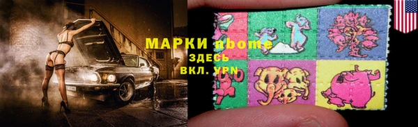 прущие грибы Бородино