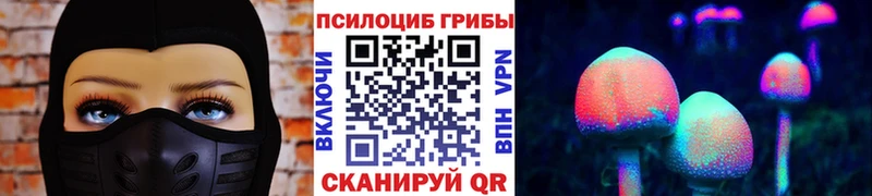 как найти закладки  Отрадная  Псилоцибиновые грибы мицелий 